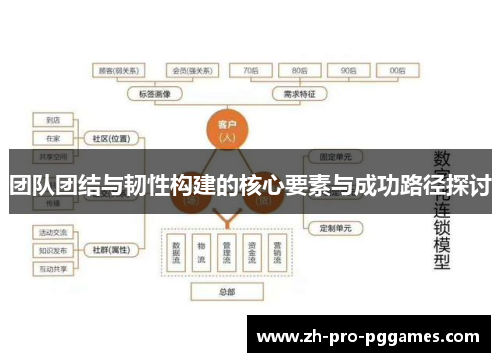 团队团结与韧性构建的核心要素与成功路径探讨
