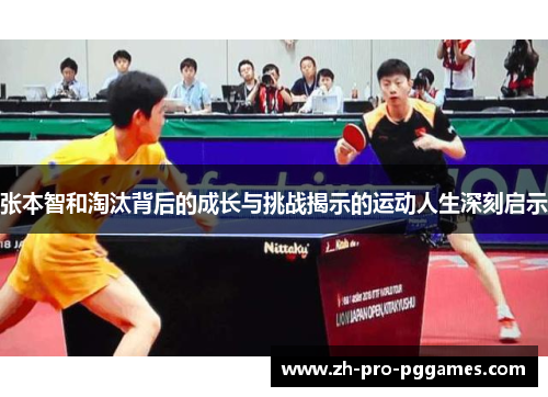 张本智和淘汰背后的成长与挑战揭示的运动人生深刻启示