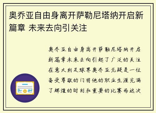 奥乔亚自由身离开萨勒尼塔纳开启新篇章 未来去向引关注